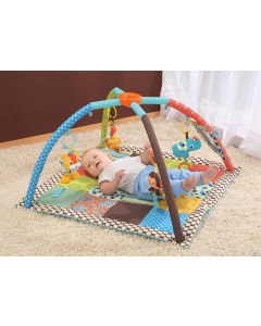 ACTIVITY GYM RENTAL